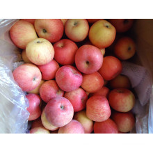 2015 Frische Gala Apfel von Shandong Boren